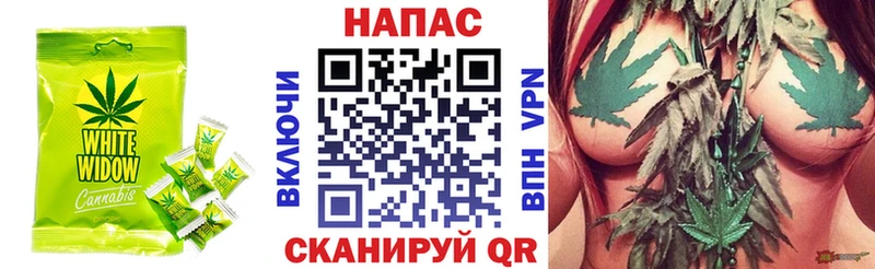Canna-Cookies марихуана  блэк спрут   Людиново 
