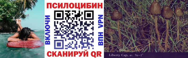 ссылка на мегу как войти  Людиново  Галлюциногенные грибы мицелий  закладки 