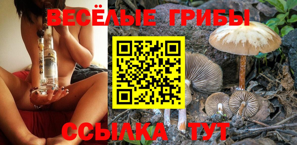 Альфа ПВП Людиново